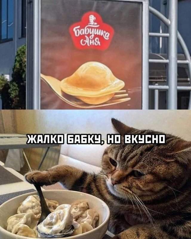 Смешные мемы - 11.06.2025 Смешные мемы - 11.06.2025