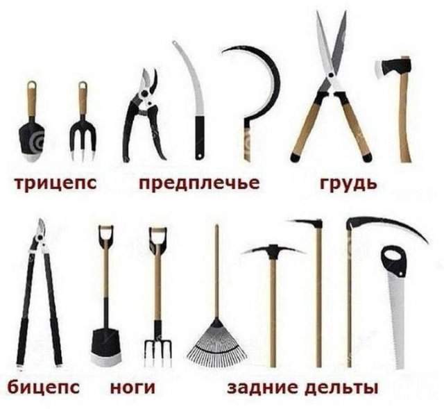Лучшие шутки и мемы из Сети - 11.06.2025