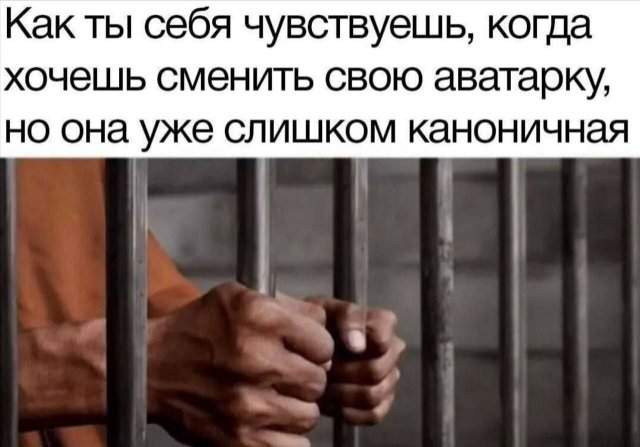 Лучшие шутки и мемы из Сети - 11.06.2025