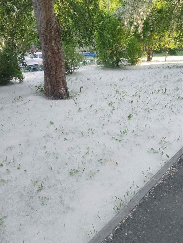 Тюмень занесло снегом