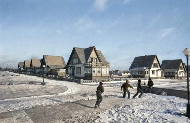Совхоз "Повадинский" деревня Вельяминово Московской области. Одна из улиц совхоза, 1983 год. Совхоз "Повадинский" деревня Вельяминово Московской области. Одна из улиц совхоза, 1983 год.