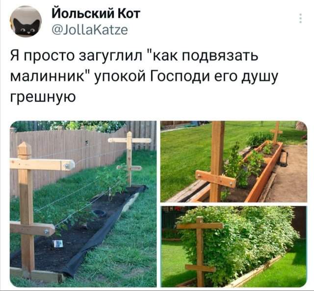 Подборка забавных твитов обо всем