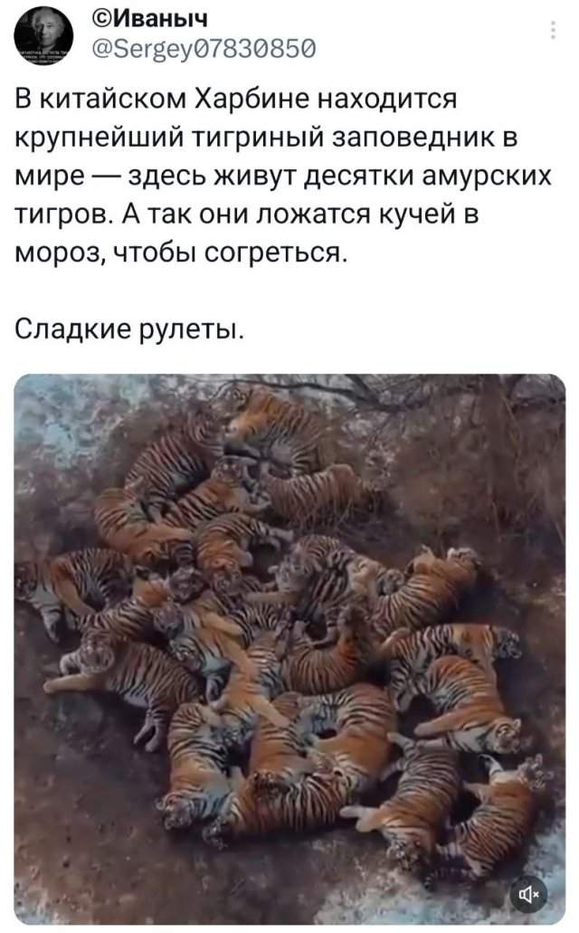 Подборка забавных твитов обо всем Подборка забавных твитов обо всем