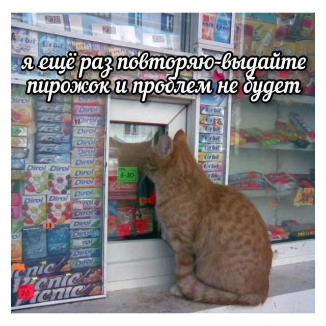 Лучшие шутки и мемы из Сети - 12.06.2025 Лучшие шутки и мемы из Сети - 12.06.2025