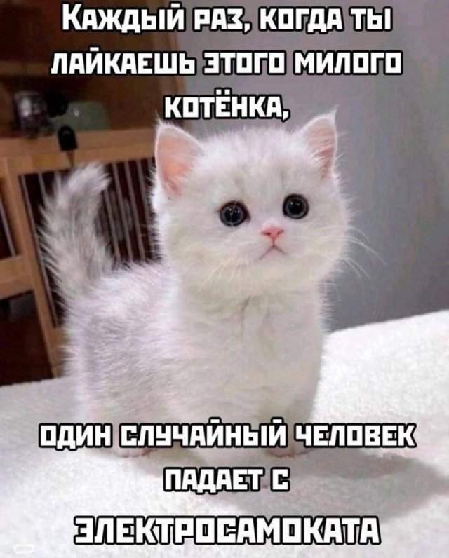 Лучшие шутки и мемы из Сети - 12.06.2025 Лучшие шутки и мемы из Сети - 12.06.2025