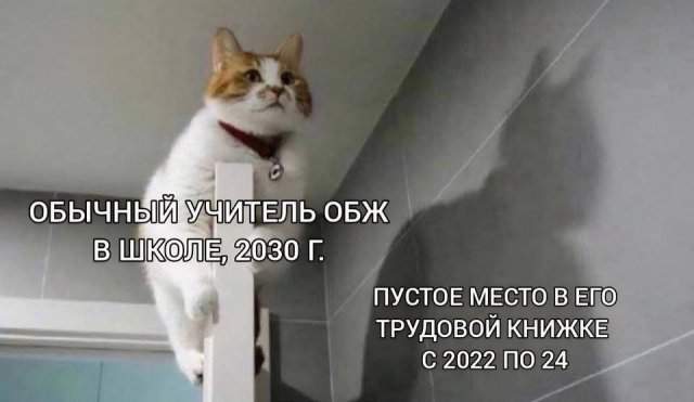 Смешные мемы - 12.06.2025 Смешные мемы - 12.06.2025