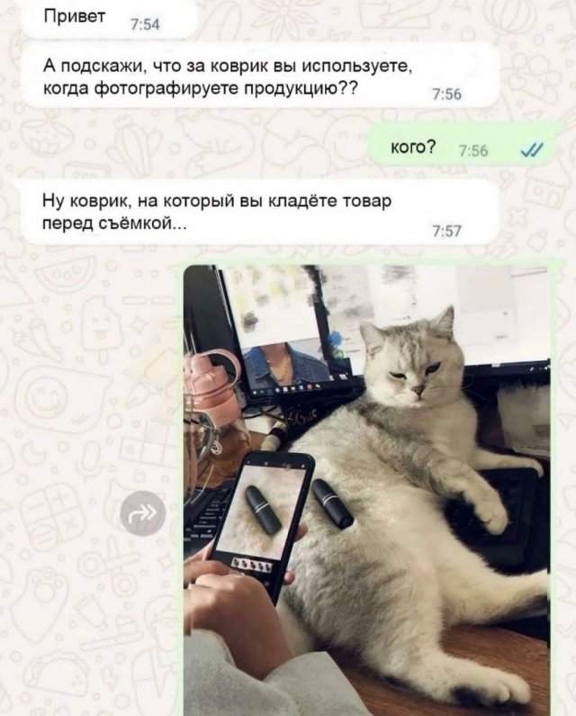 Смешные картинки - 13.06.2025 Смешные картинки - 13.06.2025