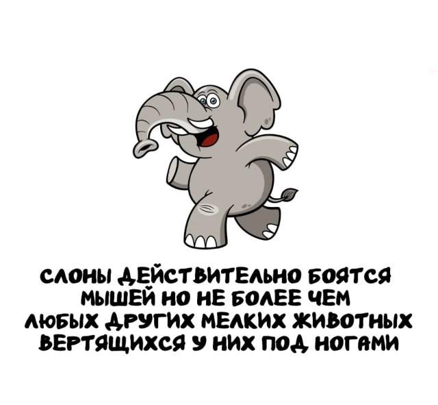 Интересные факты на все случаи жизни
