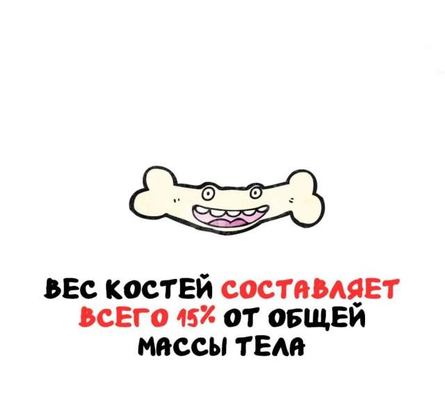 Интересные факты на все случаи жизни