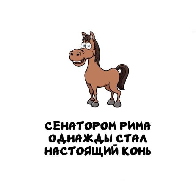 Интересные факты на все случаи жизни