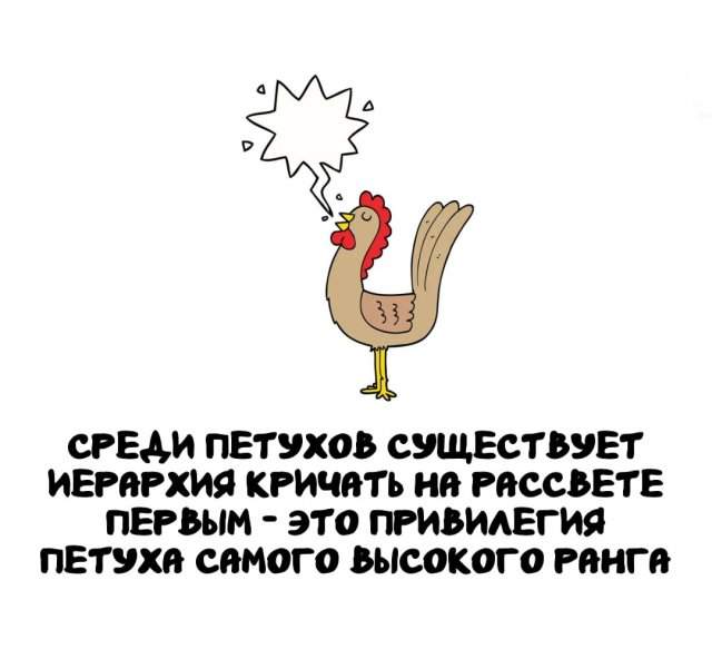 Интересные факты на все случаи жизни