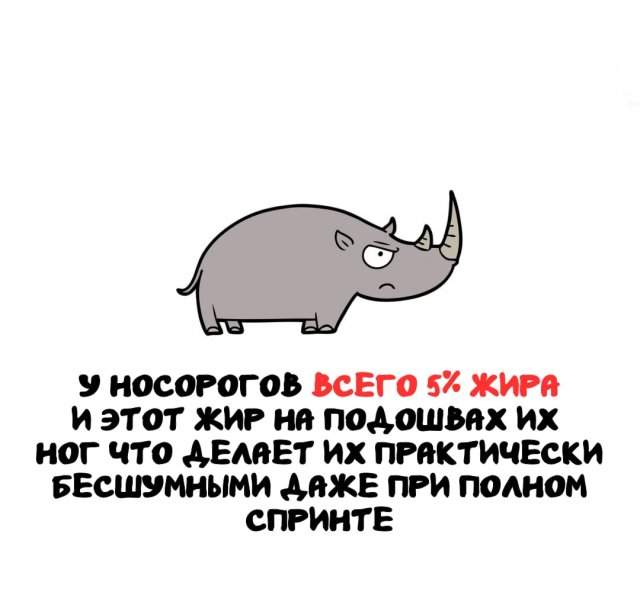 Интересные факты на все случаи жизни Интересные факты на все случаи жизни