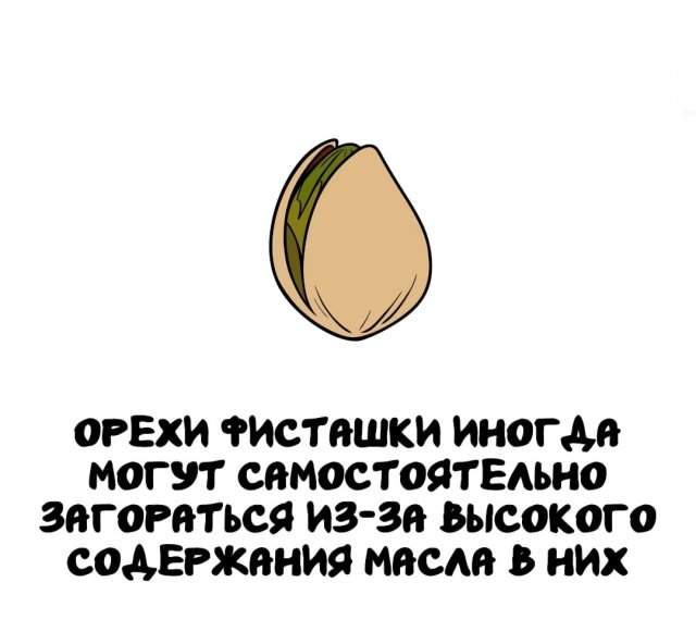 Интересные факты на все случаи жизни Интересные факты на все случаи жизни