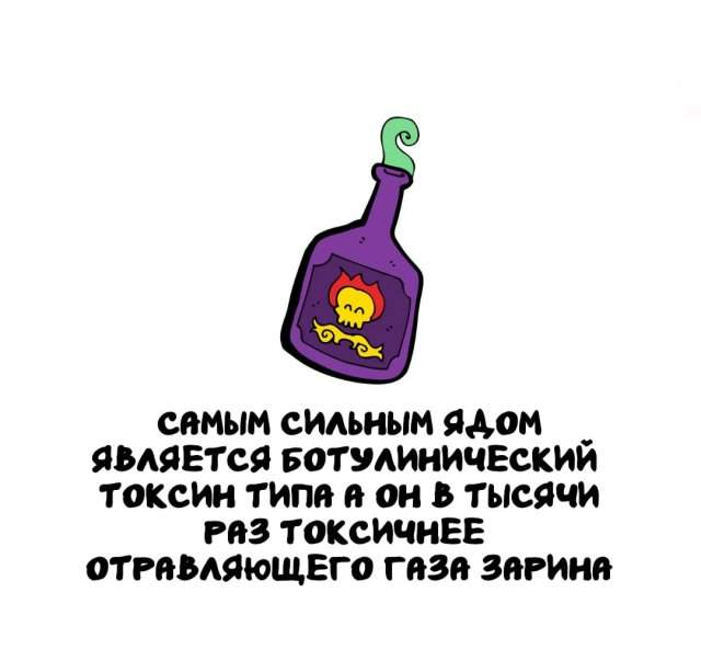 Интересные факты на все случаи жизни Интересные факты на все случаи жизни