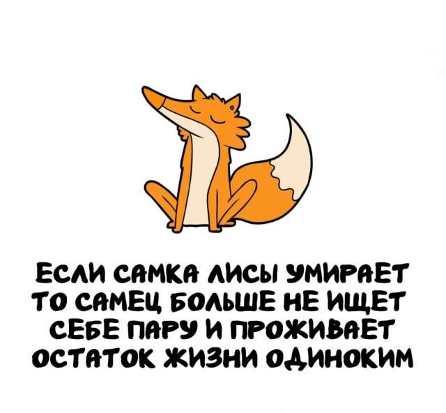 Интересные факты на все случаи жизни Интересные факты на все случаи жизни