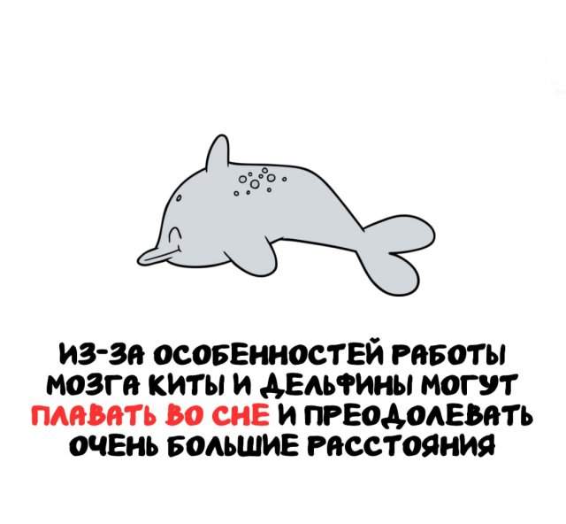 Интересные факты на все случаи жизни Интересные факты на все случаи жизни