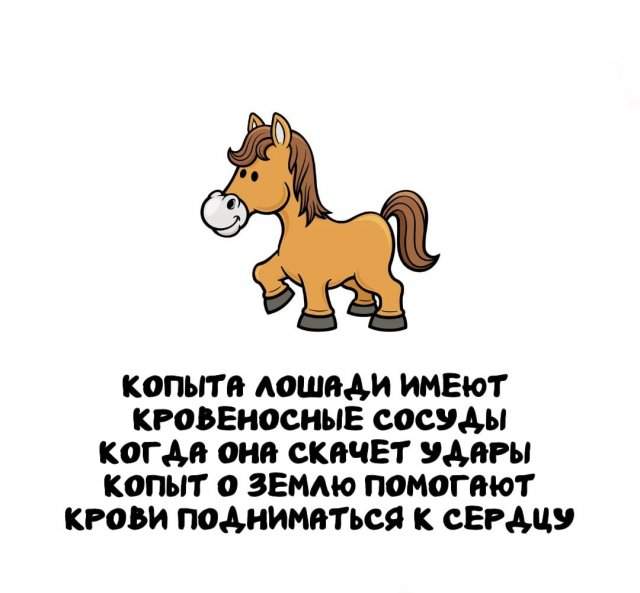 Интересные факты на все случаи жизни Интересные факты на все случаи жизни