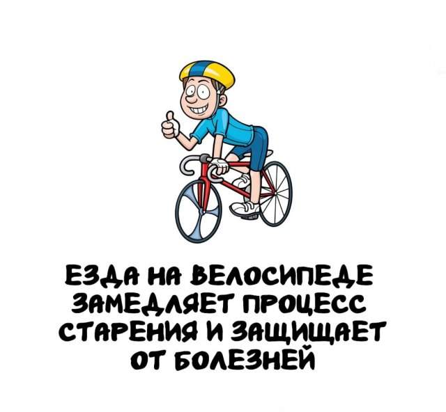 Интересные факты на все случаи жизни Интересные факты на все случаи жизни