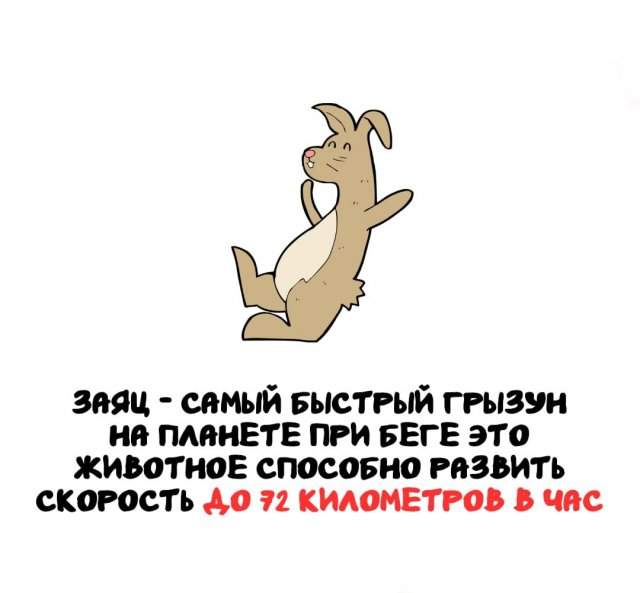 Интересные факты на все случаи жизни Интересные факты на все случаи жизни