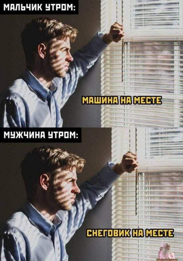 Лучшие шутки и мемы из Сети - 16.06.2025 Лучшие шутки и мемы из Сети - 16.06.2025