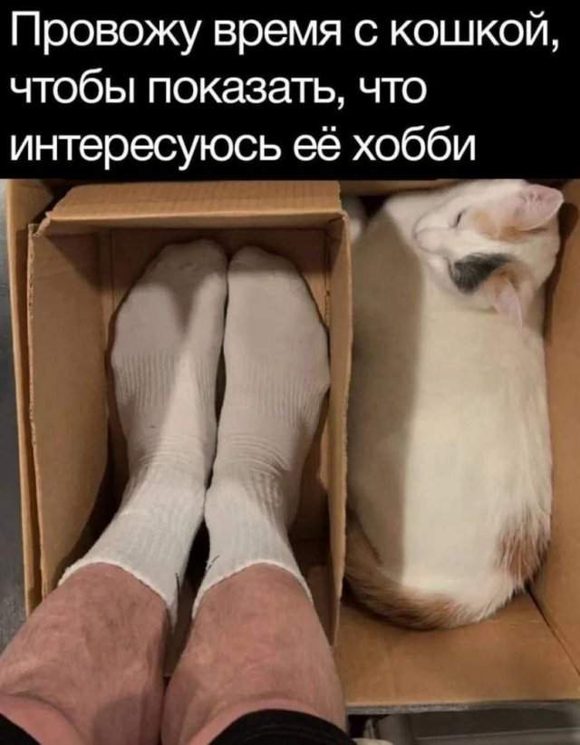Лучшие шутки и мемы из Сети - 16.06.2025 Лучшие шутки и мемы из Сети - 16.06.2025