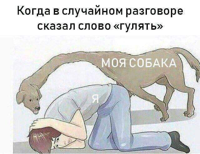 Лучшие картинки и мемы из Сети - 17.06.2025 Лучшие картинки и мемы из Сети - 17.06.2025