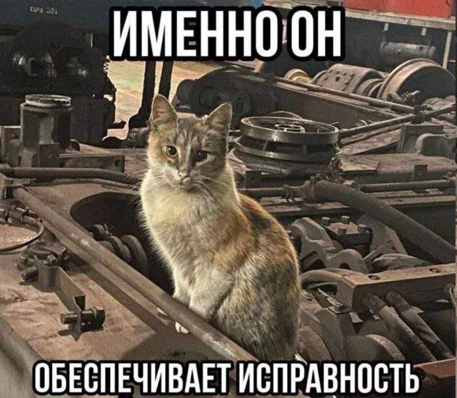 Лучшие картинки и мемы из Сети - 17.06.2025 Лучшие картинки и мемы из Сети - 17.06.2025