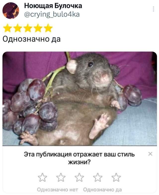 Подборка забавных твитов обо всем Подборка забавных твитов обо всем