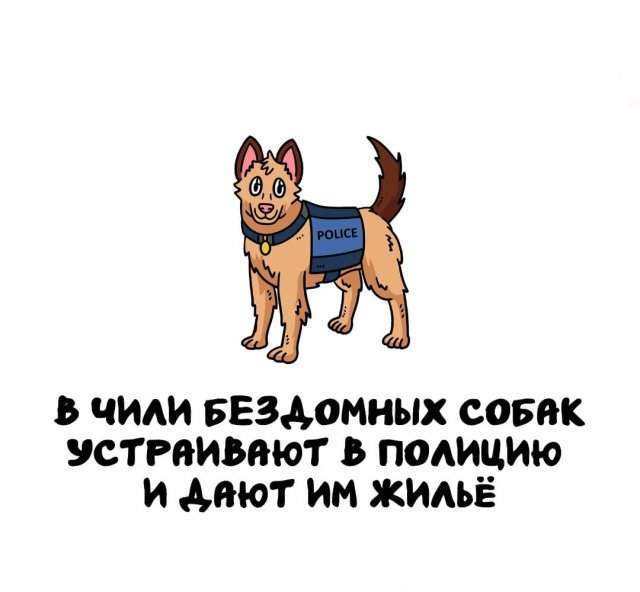 Интересные факты на все случаи жизни Интересные факты на все случаи жизни