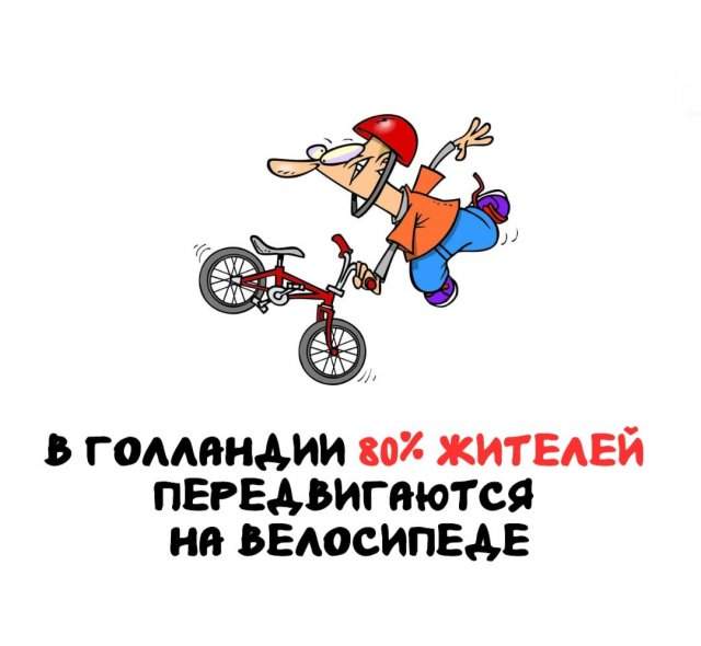 Интересные факты на все случаи жизни Интересные факты на все случаи жизни