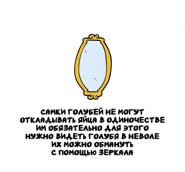 Интересные факты на все случаи жизни Интересные факты на все случаи жизни