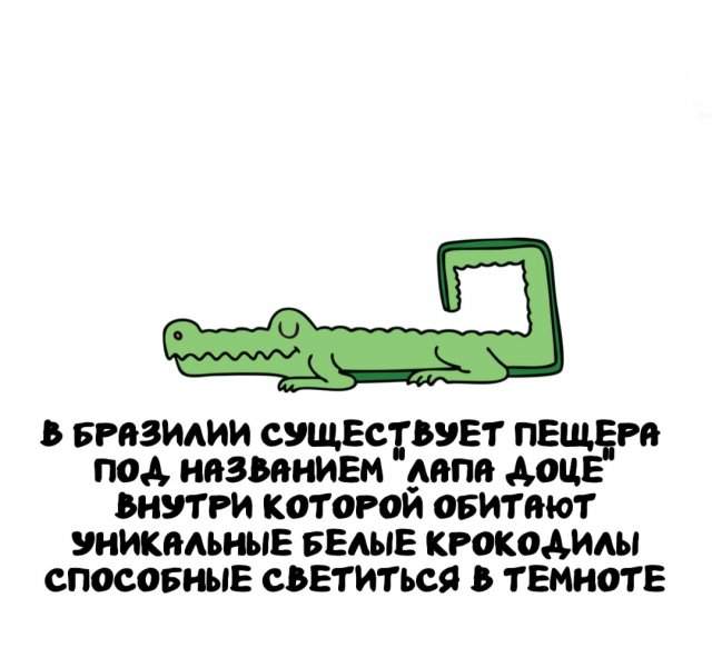 Интересные факты на все случаи жизни Интересные факты на все случаи жизни