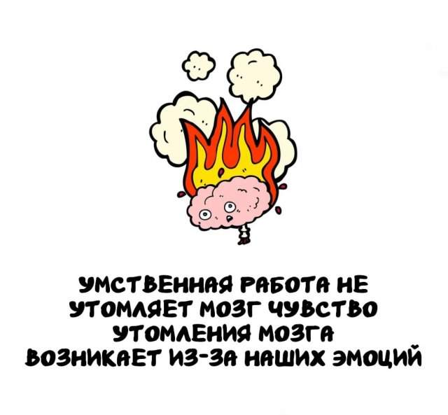 Интересные факты на все случаи жизни Интересные факты на все случаи жизни