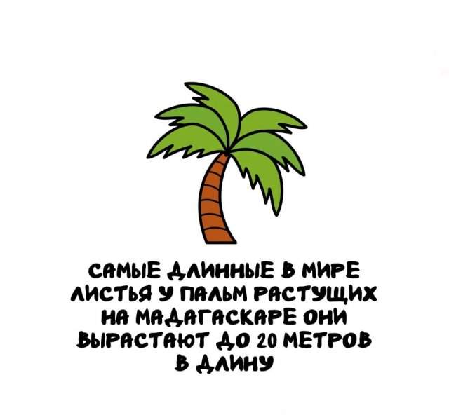 Интересные факты на все случаи жизни Интересные факты на все случаи жизни