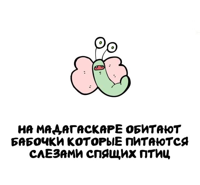 Интересные факты на все случаи жизни Интересные факты на все случаи жизни