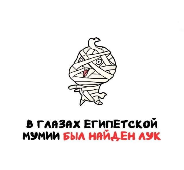 Интересные факты на все случаи жизни Интересные факты на все случаи жизни