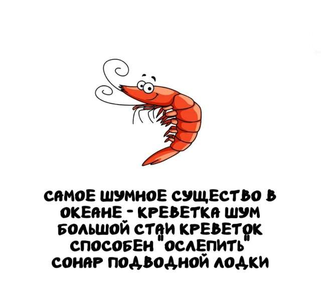 Интересные факты на все случаи жизни Интересные факты на все случаи жизни