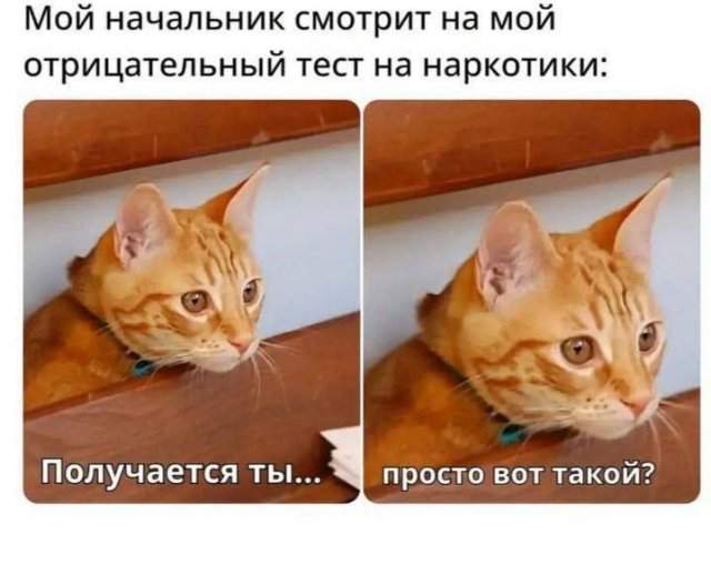 Лучшие шутки и мемы из Сети - 18.06.2025 Лучшие шутки и мемы из Сети - 18.06.2025