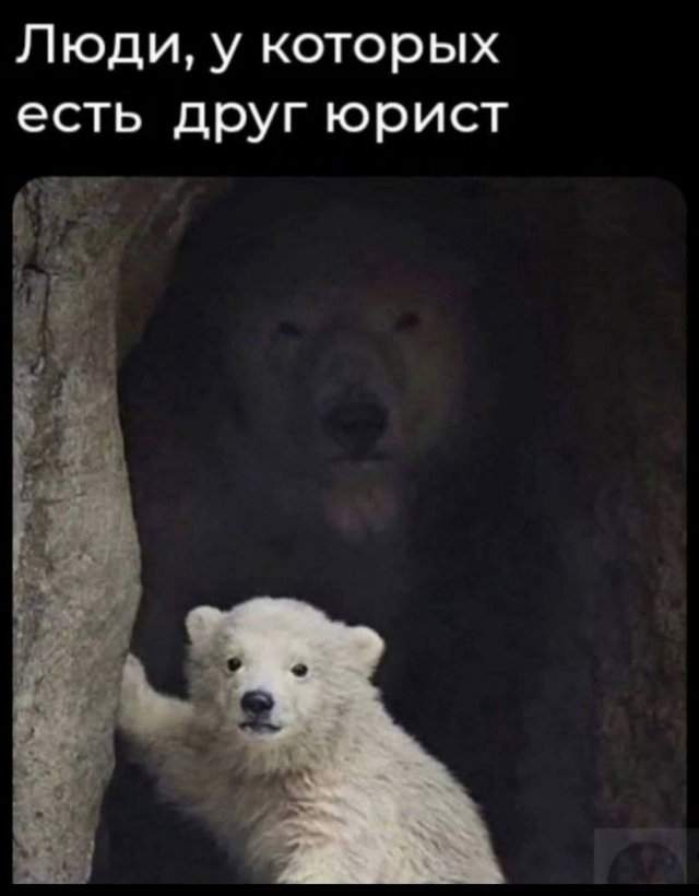Лучшие шутки и мемы из Сети - 18.06.2025 Лучшие шутки и мемы из Сети - 18.06.2025