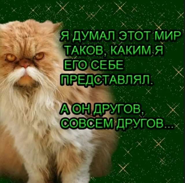 Лучшие шутки и мемы из Сети - 18.06.2025 Лучшие шутки и мемы из Сети - 18.06.2025