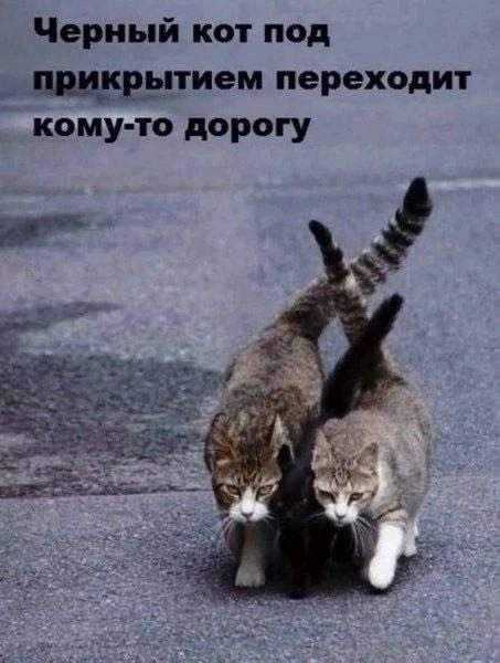 Лучшие шутки и мемы из Сети - 18.06.2025 Лучшие шутки и мемы из Сети - 18.06.2025