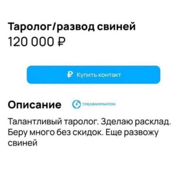 Лучшие шутки и мемы из Сети - 18.06.2025 Лучшие шутки и мемы из Сети - 18.06.2025