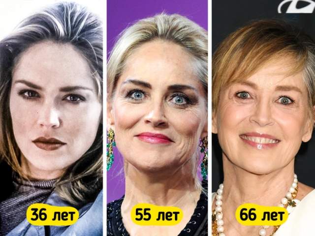 Шэрон Стоун в 36, 55 и 66 лет Шэрон Стоун в 36, 55 и 66 лет