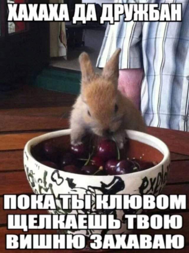 Смешные мемы - 19.06.2025 Смешные мемы - 19.06.2025