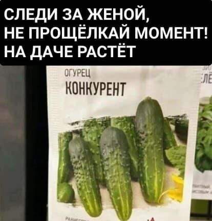 Смешные мемы - 19.06.2025 Смешные мемы - 19.06.2025