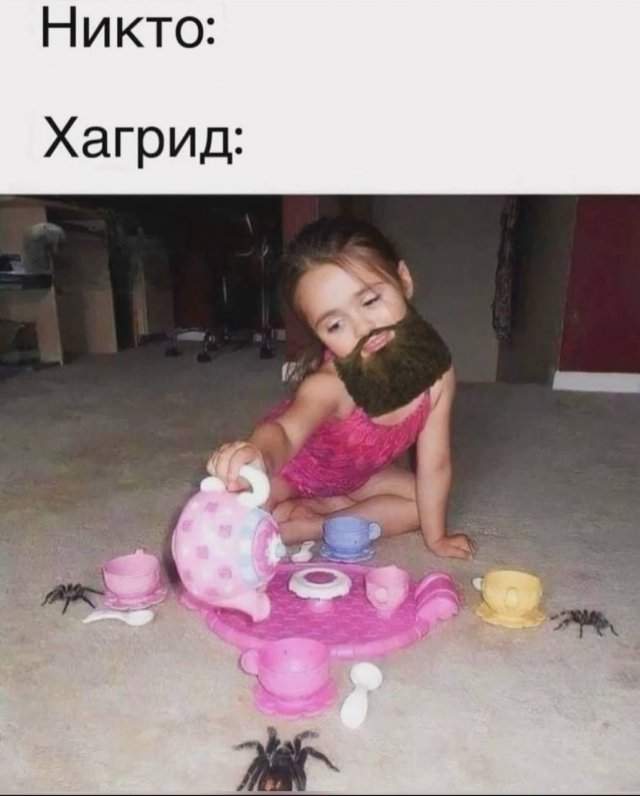 Смешные мемы - 19.06.2025 Смешные мемы - 19.06.2025