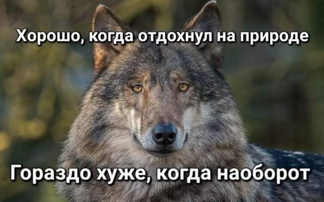 Смешные мемы - 19.06.2025 Смешные мемы - 19.06.2025