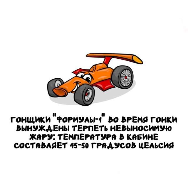 Интересные факты на все случаи жизни Интересные факты на все случаи жизни