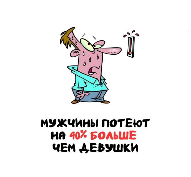 Интересные факты на все случаи жизни Интересные факты на все случаи жизни
