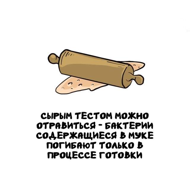 Интересные факты на все случаи жизни Интересные факты на все случаи жизни